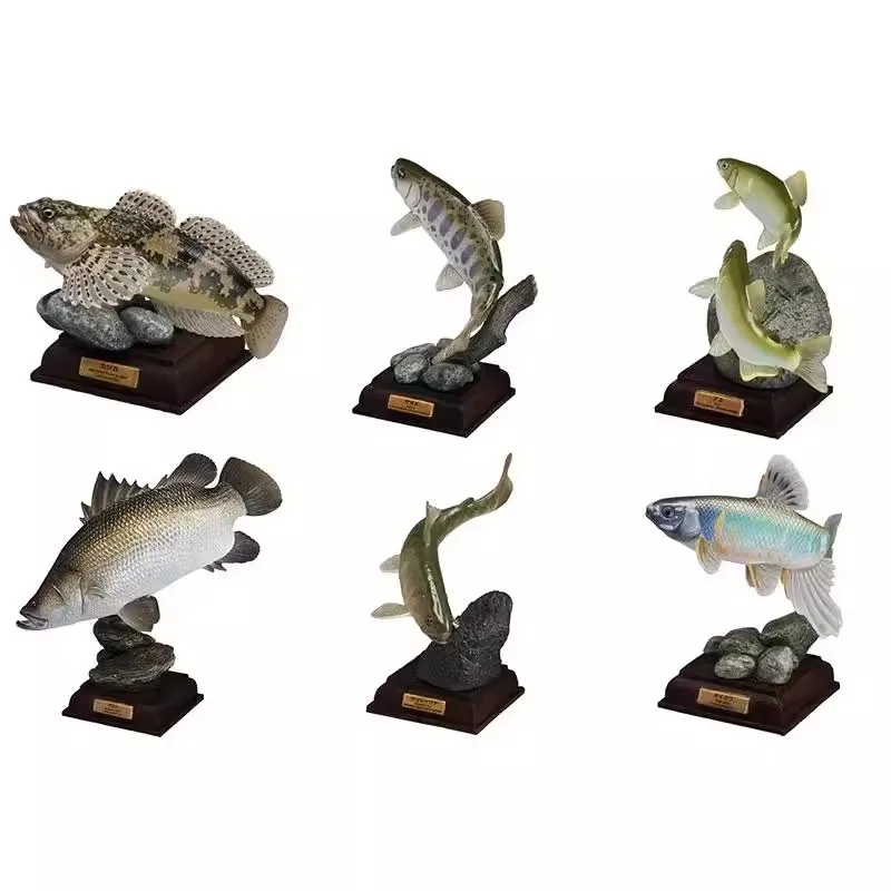 Japońska ryba Suplement Specjalna edycja Gashapon Zabawki Sweetfish Sculpins Zacco Platypus Figurka akcji Model Ozdoby Zabawki