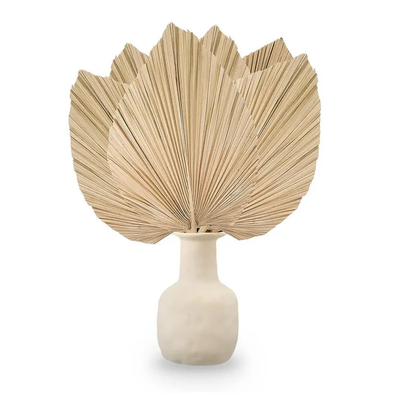 24PCS Dried Palm Leaves Natural Dried Palm Fans,Large Palm Spear For Boho Wedding Decor,Tropical Palm Leaves S - Detail 1