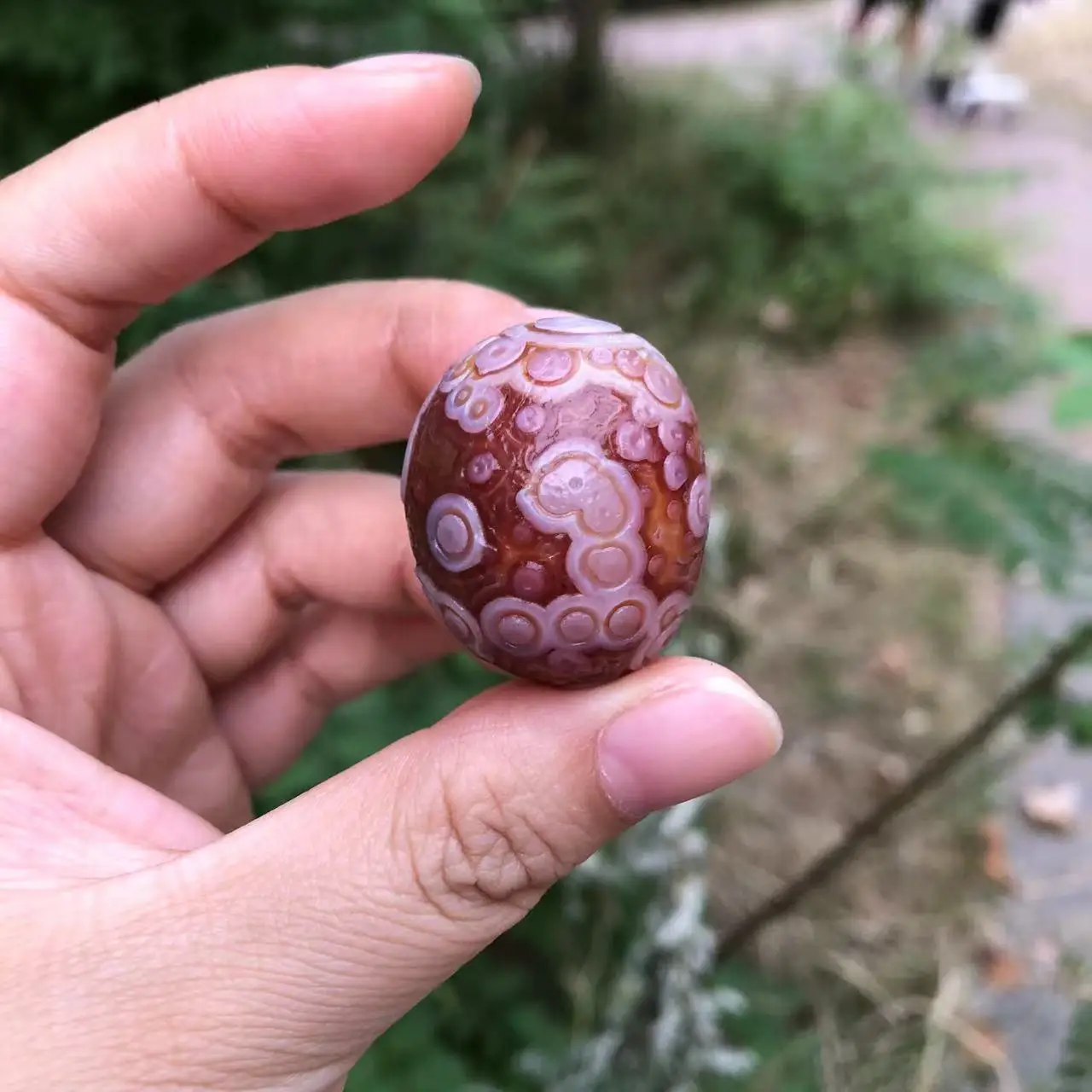 

24G/30.9*25.7*23.2MM A Natural Outer Mongolian Gobi Eye Stone Flower Eye Agate Relief Shallow Surface Clear Red Gemstone