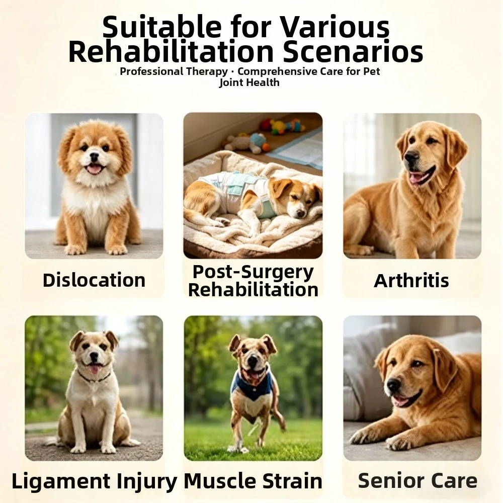 Automatic Timing Pet Red Light Recovery Device LED Light Source Relieve Discomfort Pet Rehabilitation Sleeve Promote Circulation