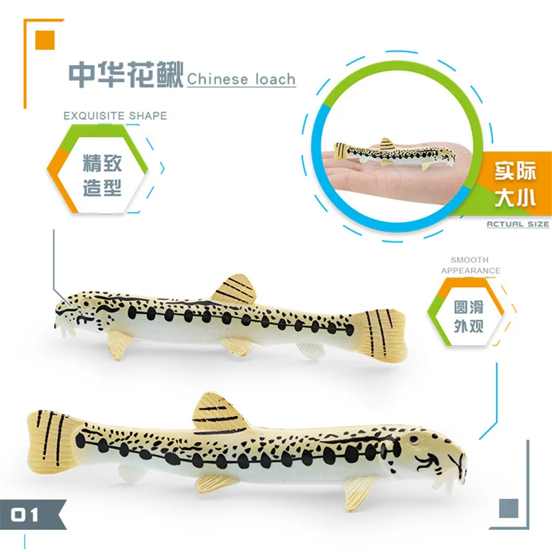 Simulation Marine Animal Cobitis Sinensis Dace Salvelinus Leucomaenis Action Figures Salmon Piranha Miniacture Educational Toys