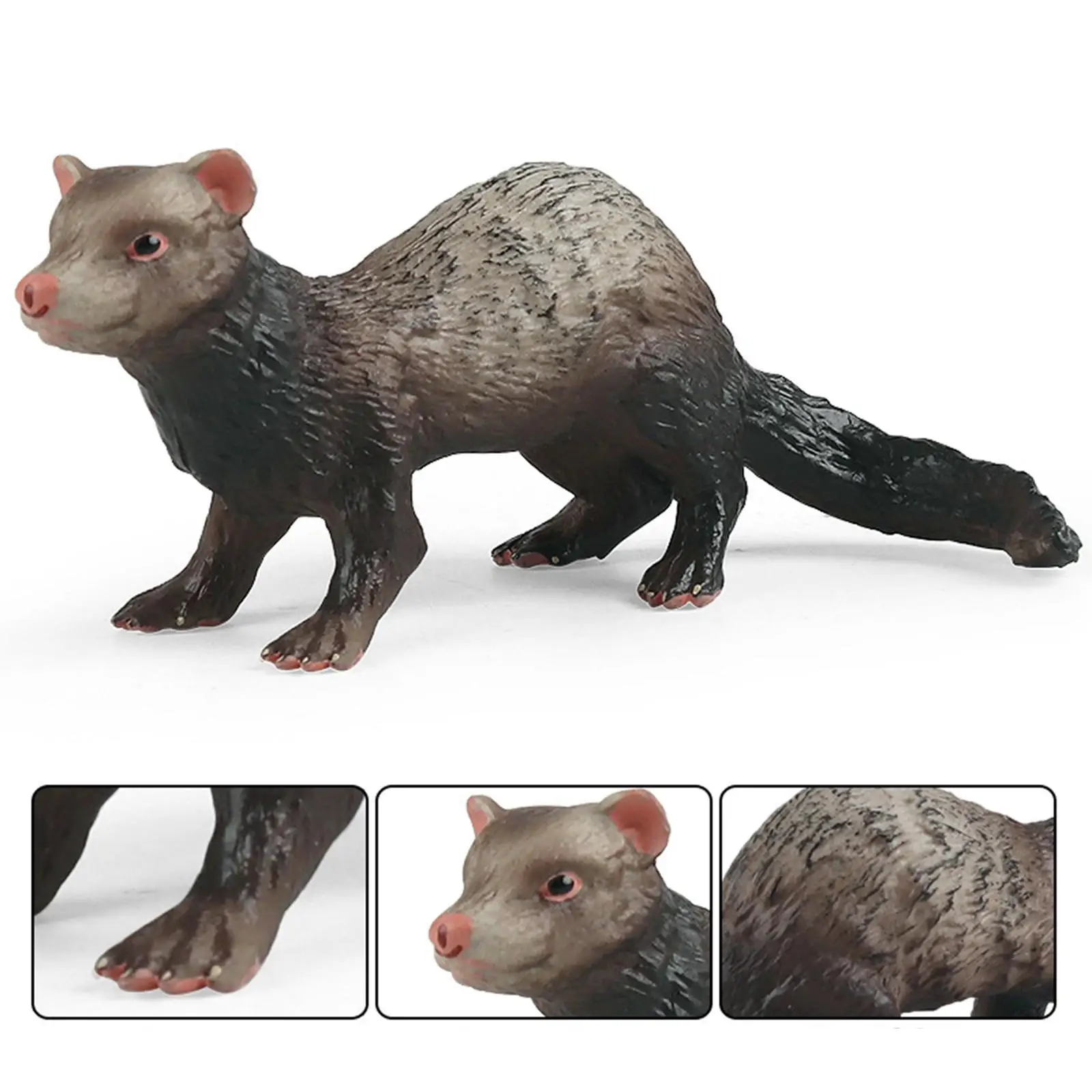 Realistic Ferret Figurines Toy Animals Figures Collection Science Educational Toy for Children Birthday Gifts