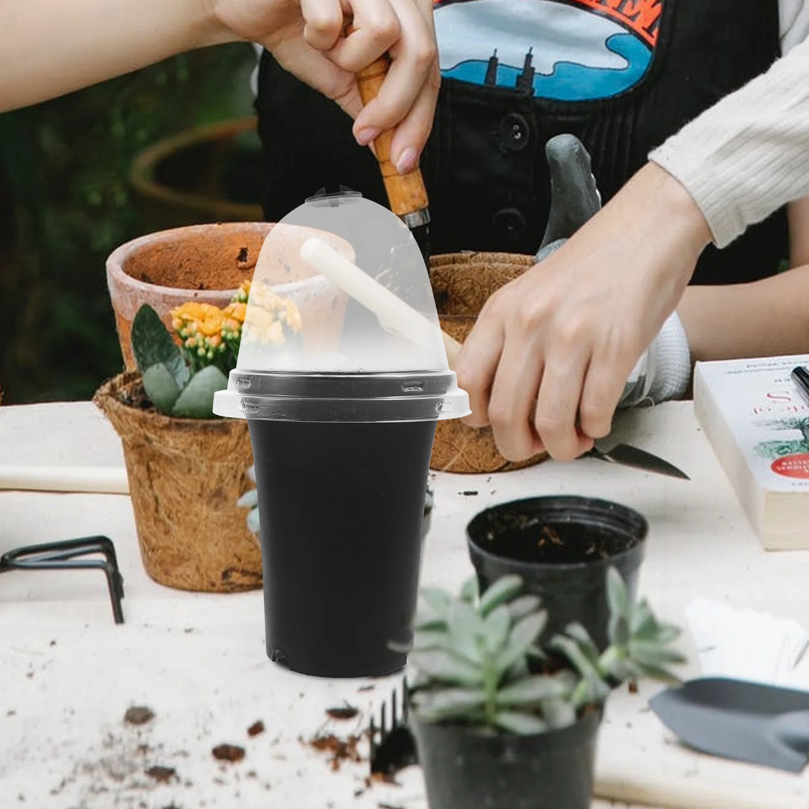 

Seedling Box Hood Nursery Pot Mini Planter High Quality Plastic Durable Reusable Easy Cleaning Ideal for Replanting Gardening