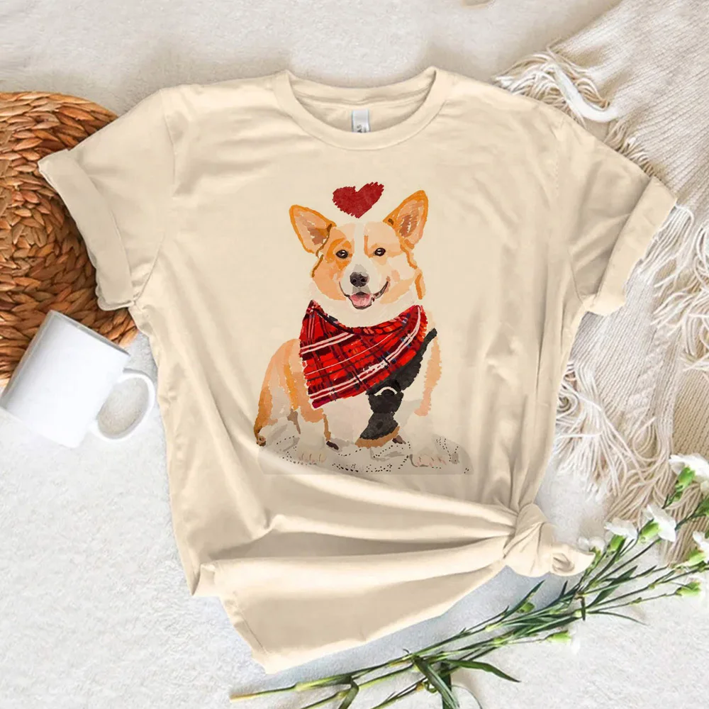 corgi