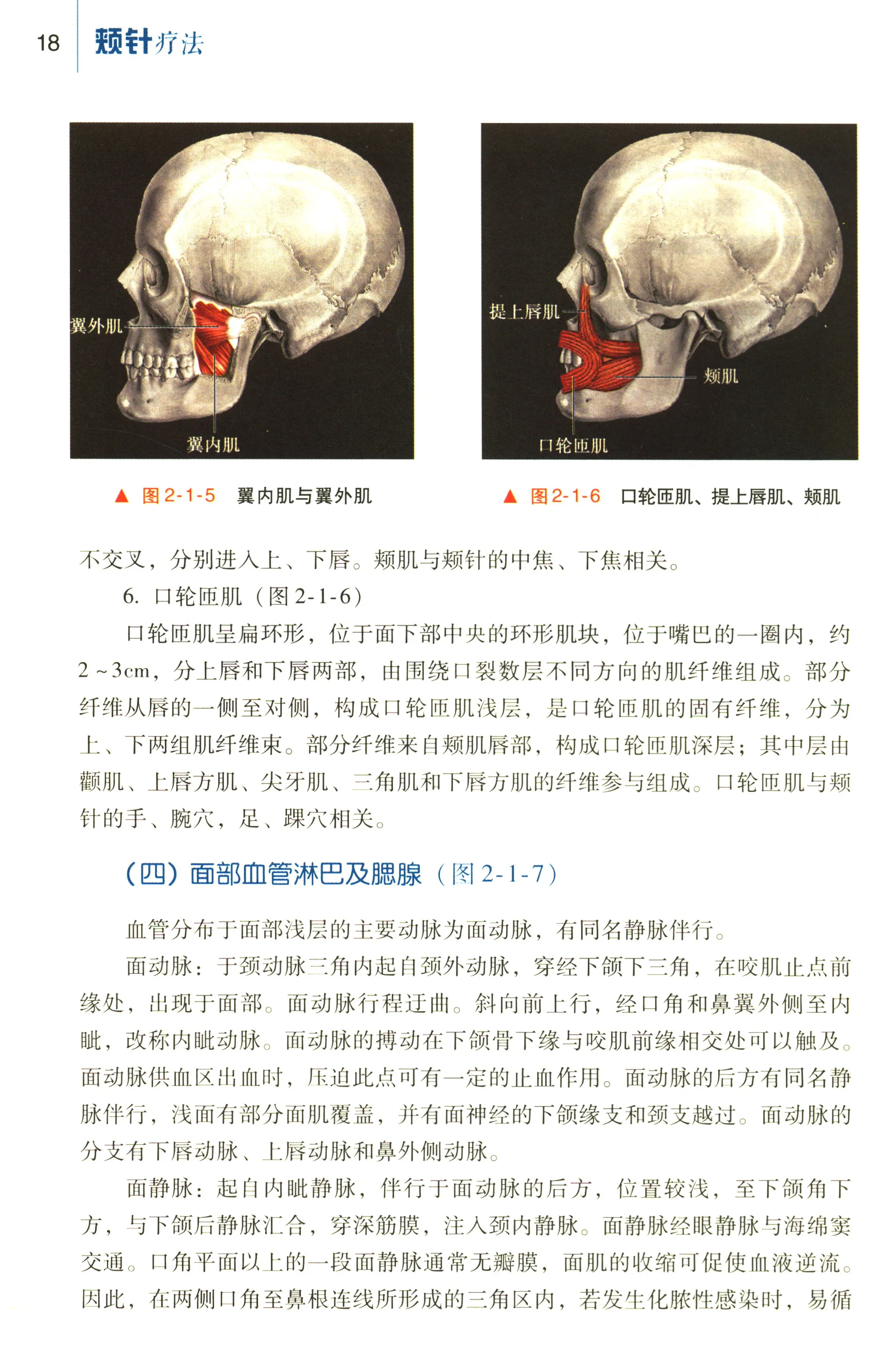 Imagem -04 - Medicina Tradicional Chinesa Livros Acupuntura Terapia 28 Páginas