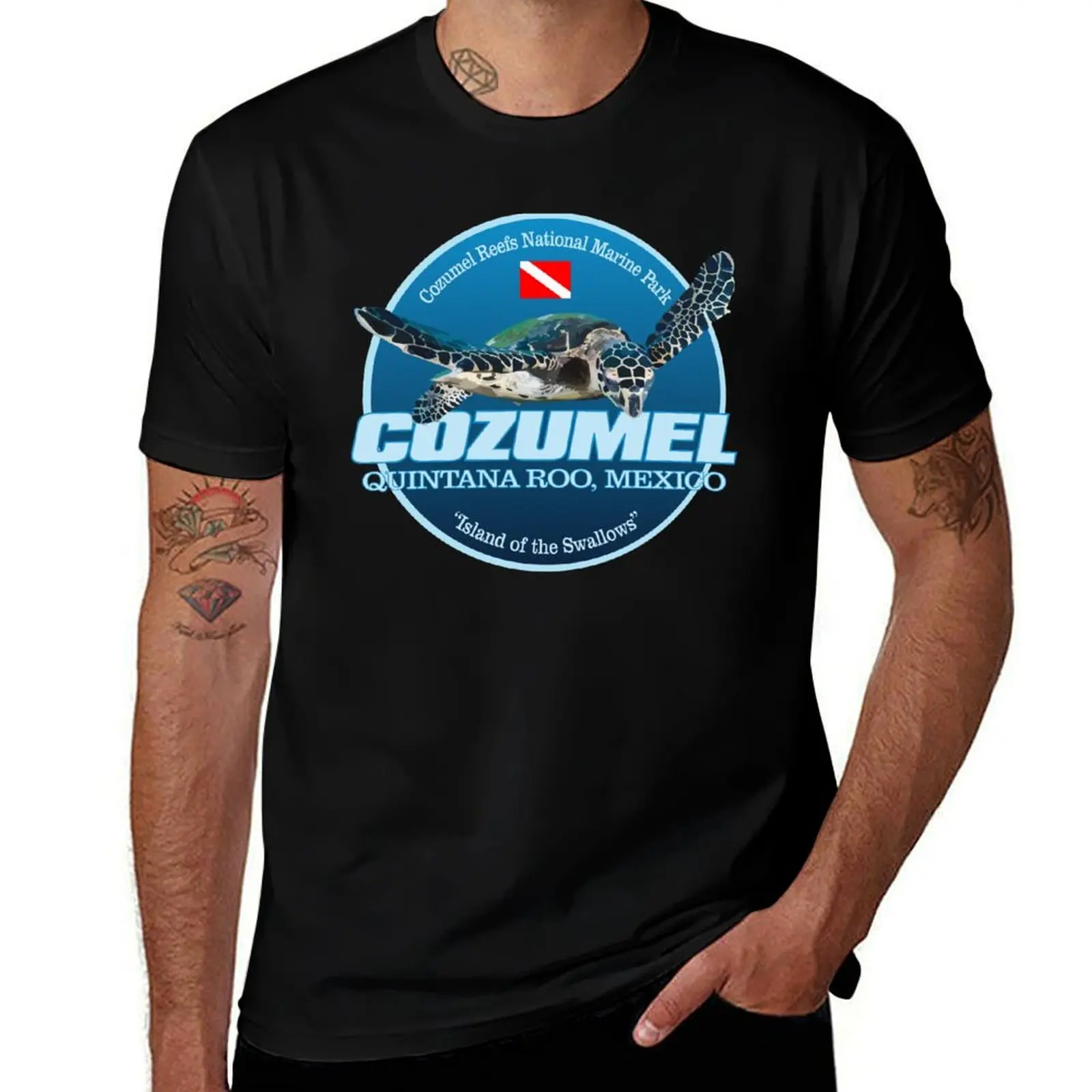 

Dive Cozumel (DD2) T-Shirt cotton t shirt pack cotton t shirt man t shirts for man graphic vintage T-shirt