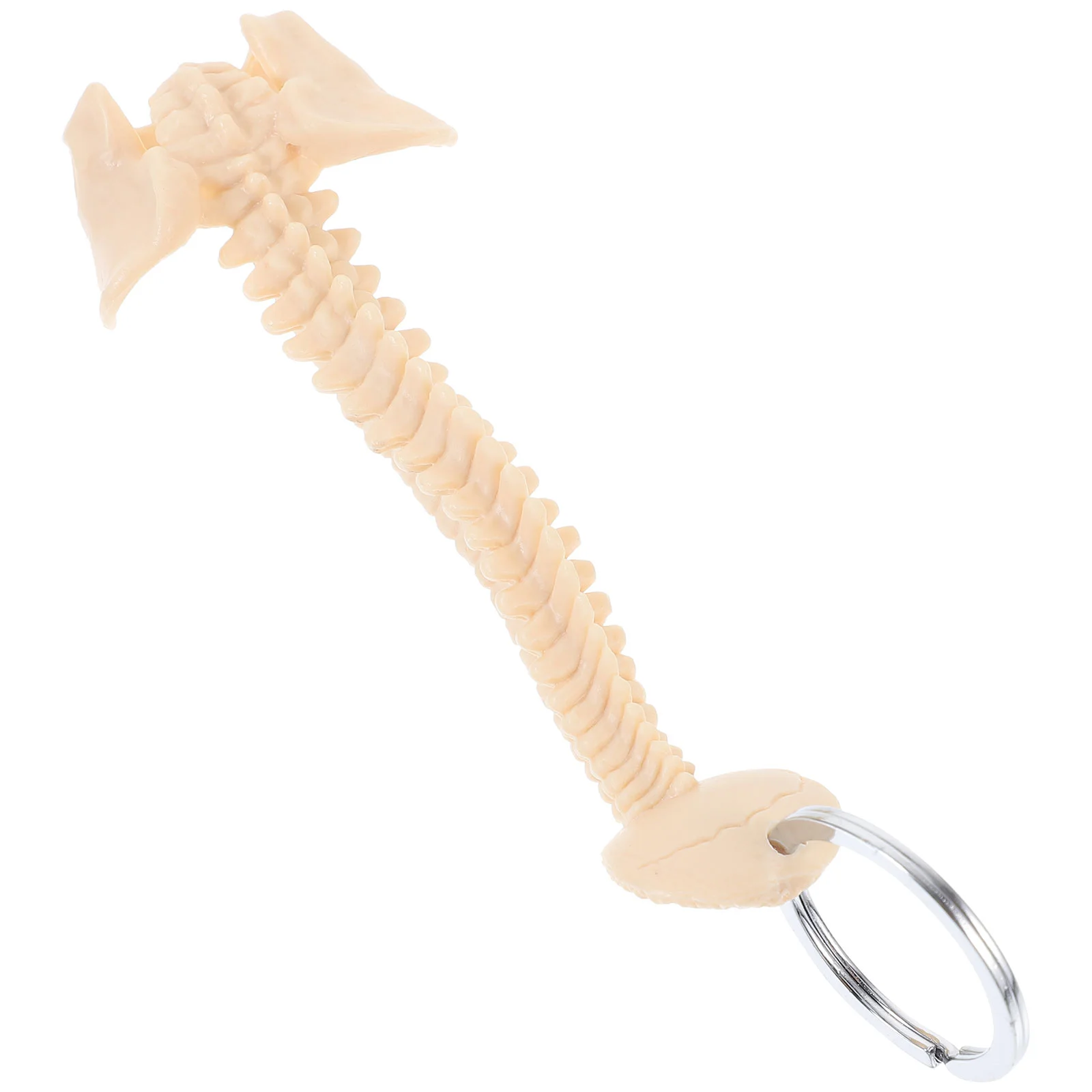 Chain Human Spine Toy Car Ornaments Pvc Manikin Keychain