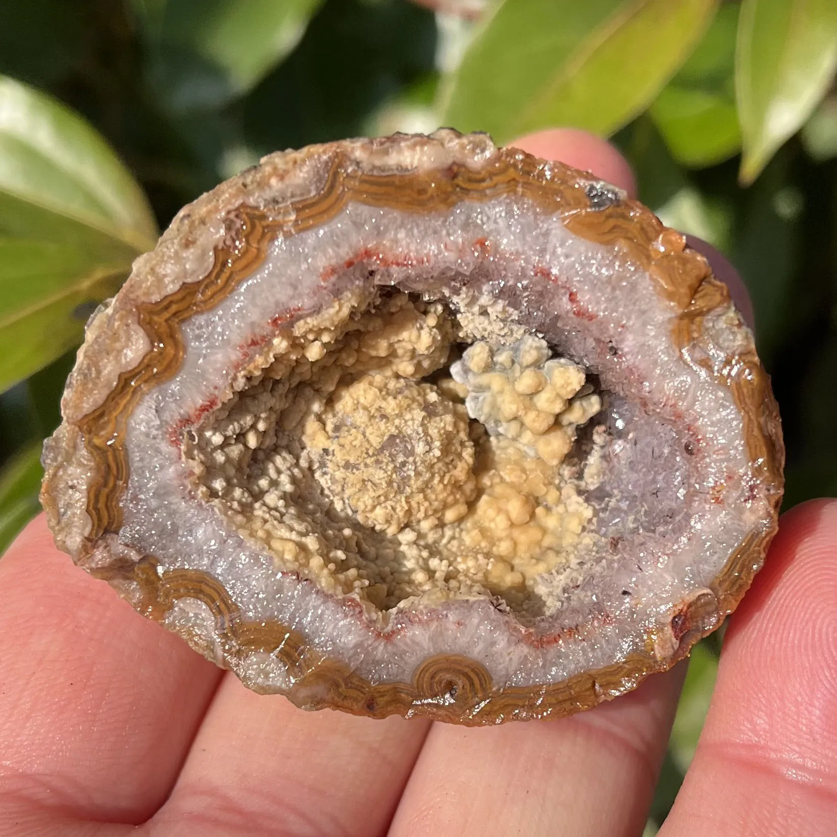 

Natural Stone Geode Agate Crystal Quartz Purple Crystal Cluster Chakra Healing Crystal Jewelry Gift