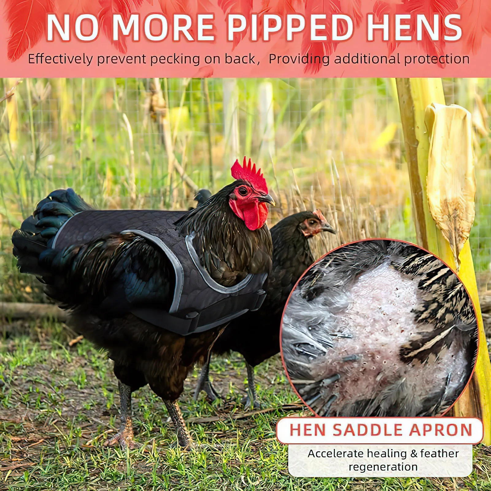 Delantal de gallina y pato de fijación hermética, delantal de gallina de tela Oxford con estanqueidad ajustable para cristas de pollos o pájaros
