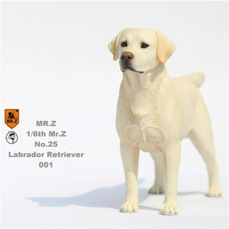 1/6 Schaal Mr.Z Diermodel Hoge Imitatie De Labrador Retriever Hond Voor 12' Action Figure Body Scene Accessoire ﻿