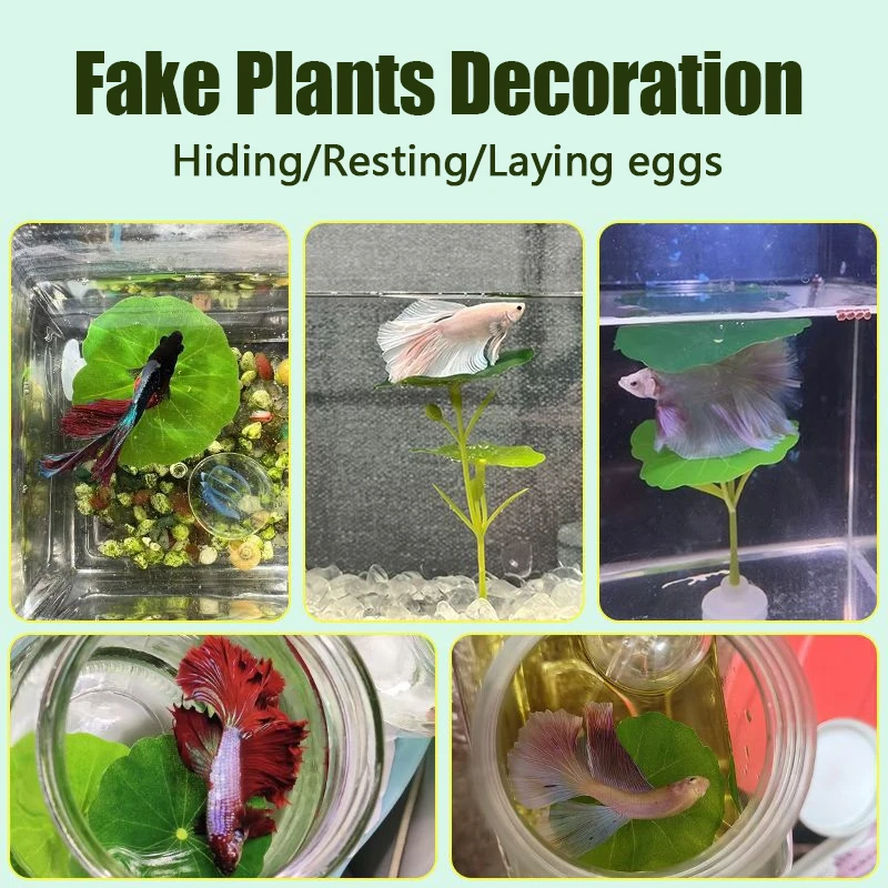 Thumbnail 3 - #30 Best Decorative Aquarium Plants to Buy In 2026