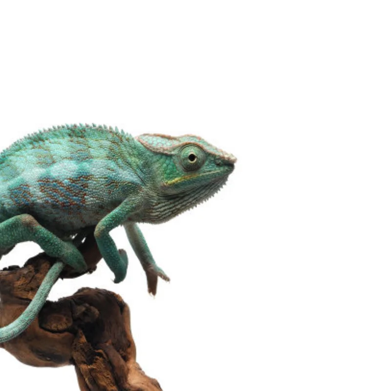 

Upgrade Parts Set for MJX 14304 14303 14302 14301 RC Car, Chrome Mirror Finish Replacement Accessories