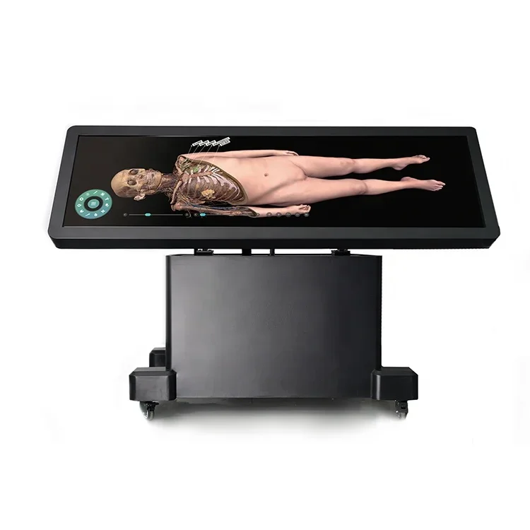 YSDHA-II88 HD Digital human Human Virtual Anatomy Table System anatomy touch table forensic med digital human anatomy table