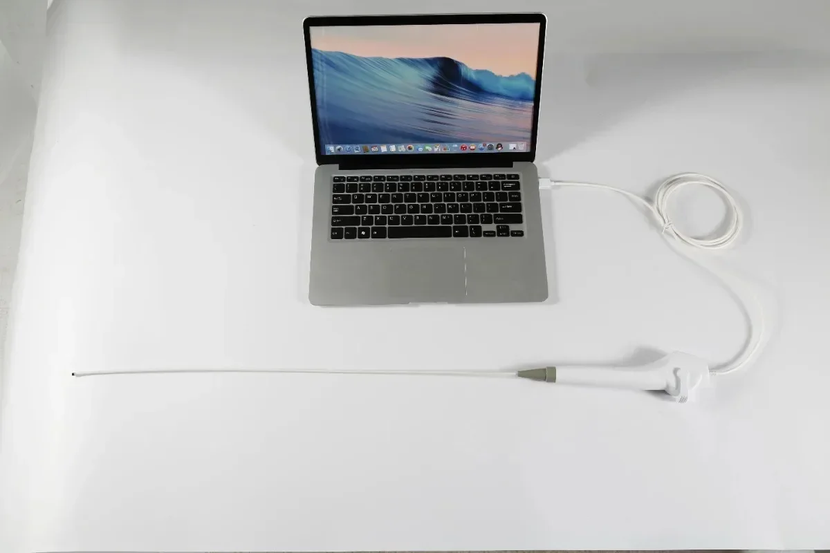 2024 منظار البلعوم الأنفي الصين BESDATA Portle السعر المنخفض التنظير المرن 3.8 مللي متر HD منظار الأنف والحنجرة لتشخيص الفحص