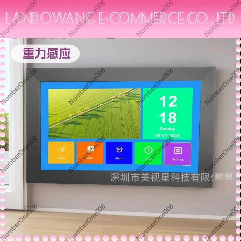 10.1 Inch IPS Digital Photo Frame HD Electronic Album Video Advertising Display Player