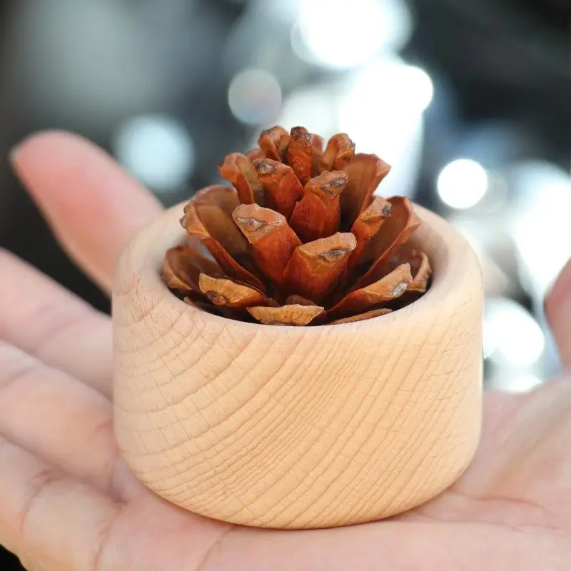 [CA2] Pine Cone Aro…