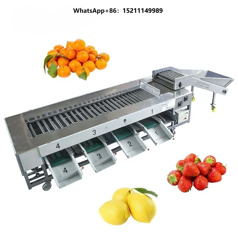 Variable Frequency Drive Lemon Grading Machine Onion Sorter Passion Fruit Sorting Machine Onion Sizer Roller-Type Lemon Sorter