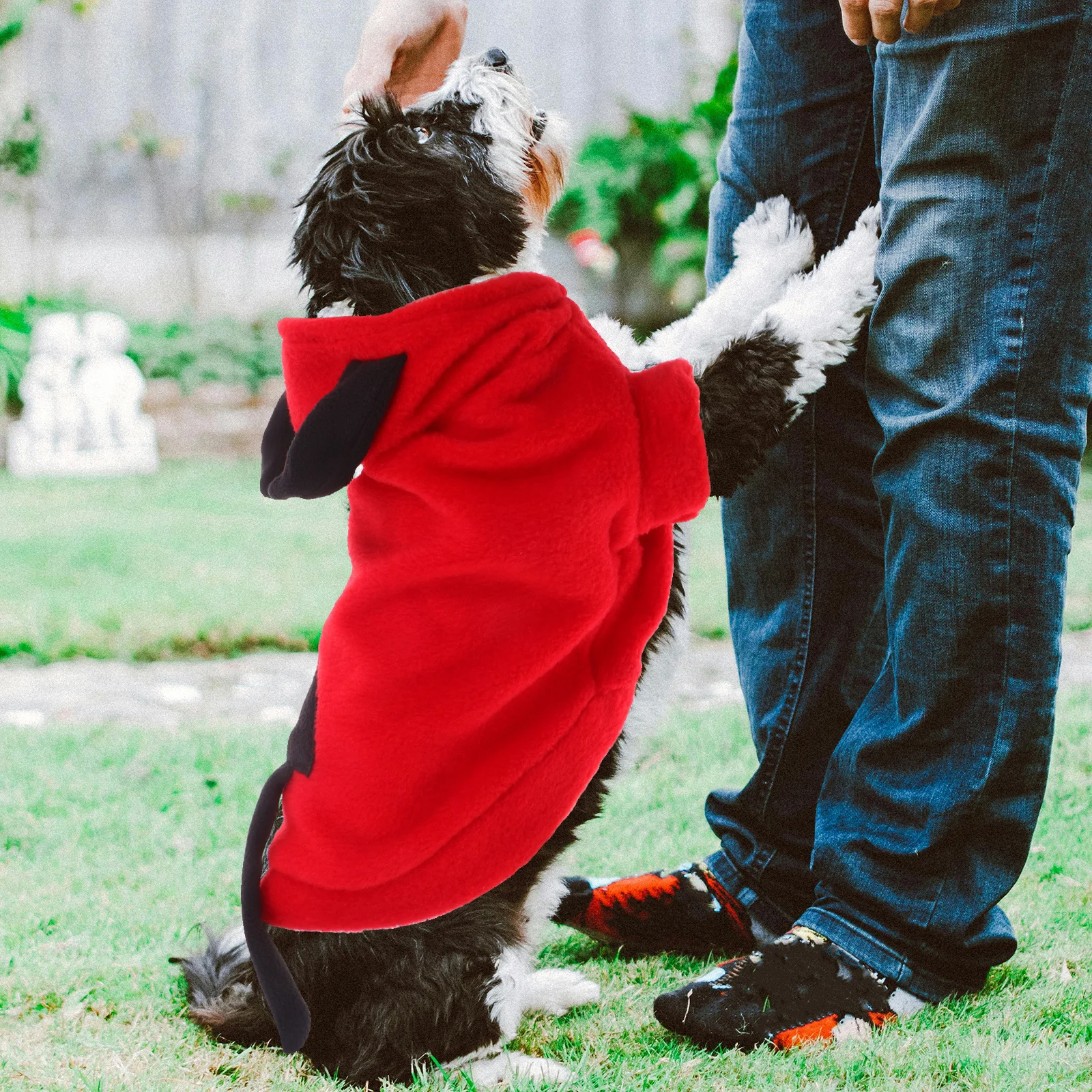 

Pet Devil Transform Costume Stylish Stereoscopic Design Comfortable Dog Clothes for Walking Jogging Outdoor Activities