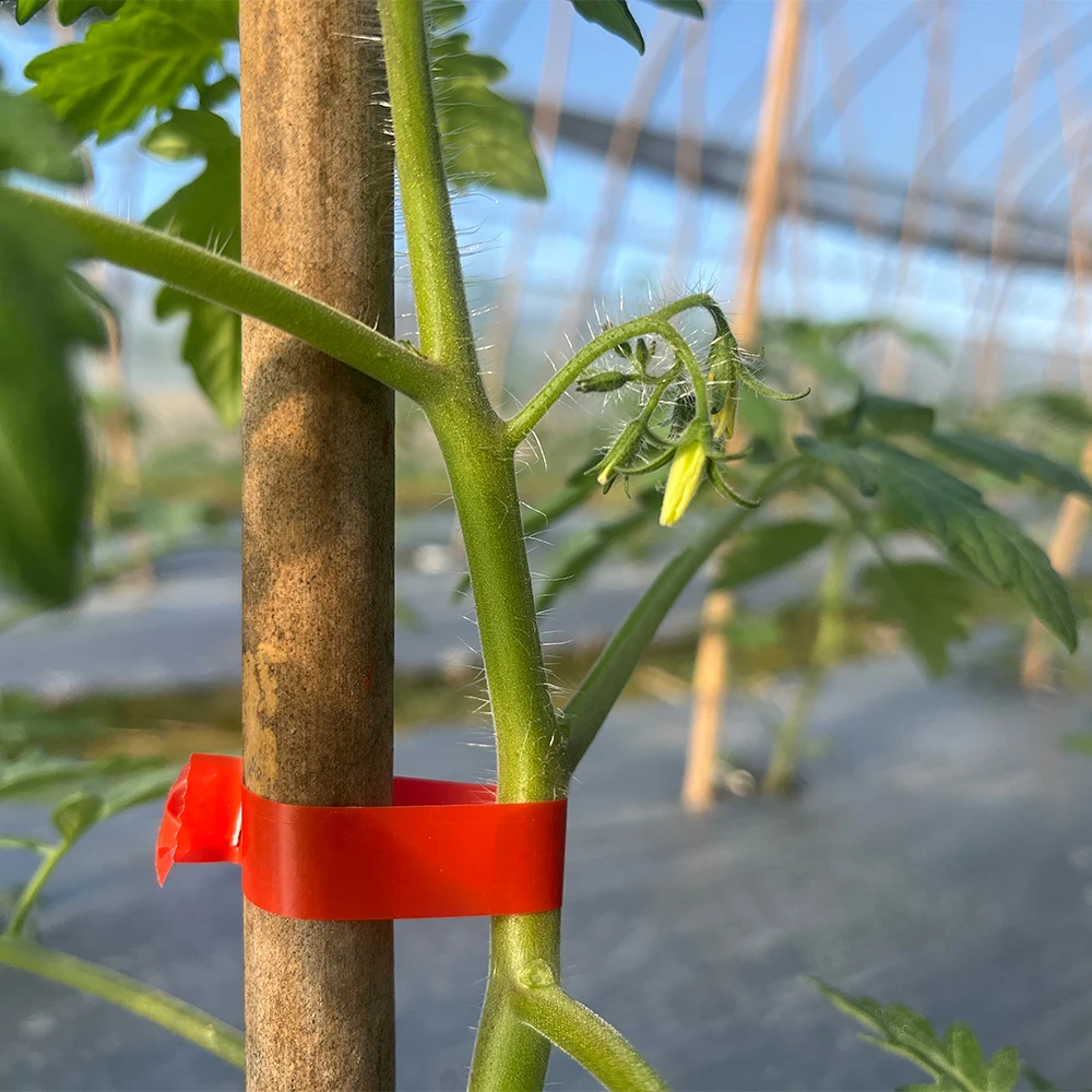 ALLSOME – Machine à attacher les plantes de jardin, Tapetool + 10 rouleaux de ruban adhésif pour les légumes, le raisin, la tomate, le concombre, le