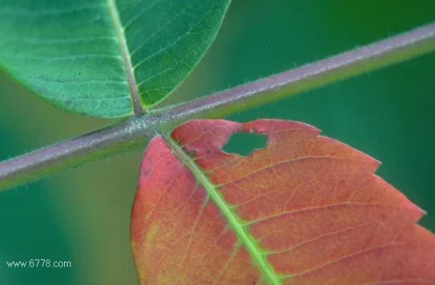 

1pc Creative Bulb Fashion Cute Milk Juice Light Bulb Shape Cup 100/200/300/400/500ml Party Plastic Bottle Cocktail Accessories