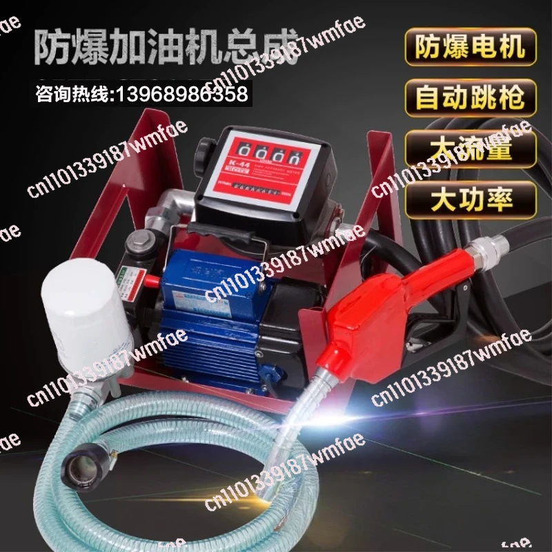 Electric Transfer Pump 12V 24V 220V for Diesel High Oil Transfer with Nozzle