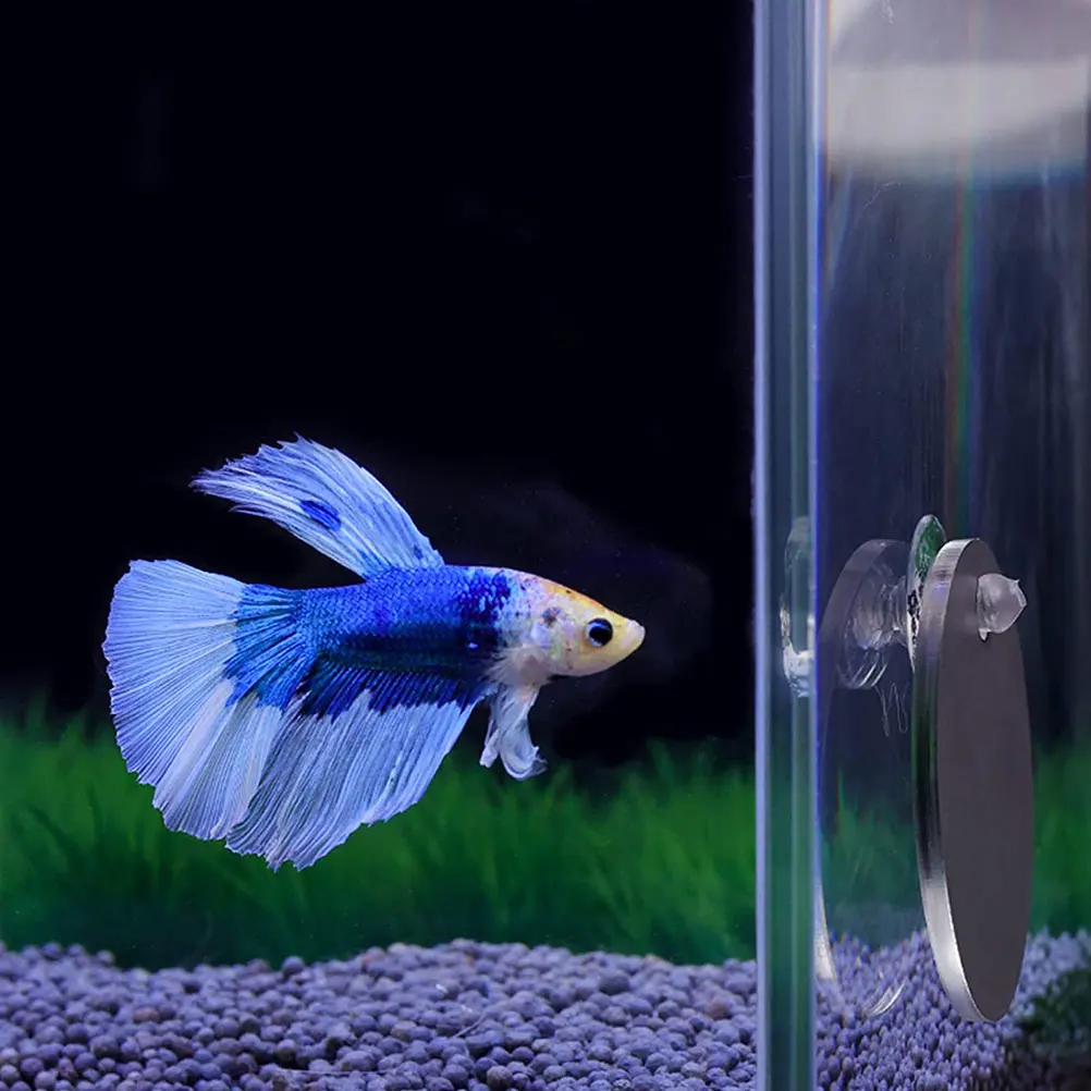 

1 set Betta Fish Tank Mirror Decorative Plastic Floating Ball Design Safe Acrylic Long Use Easy Maintain Pet Supplies