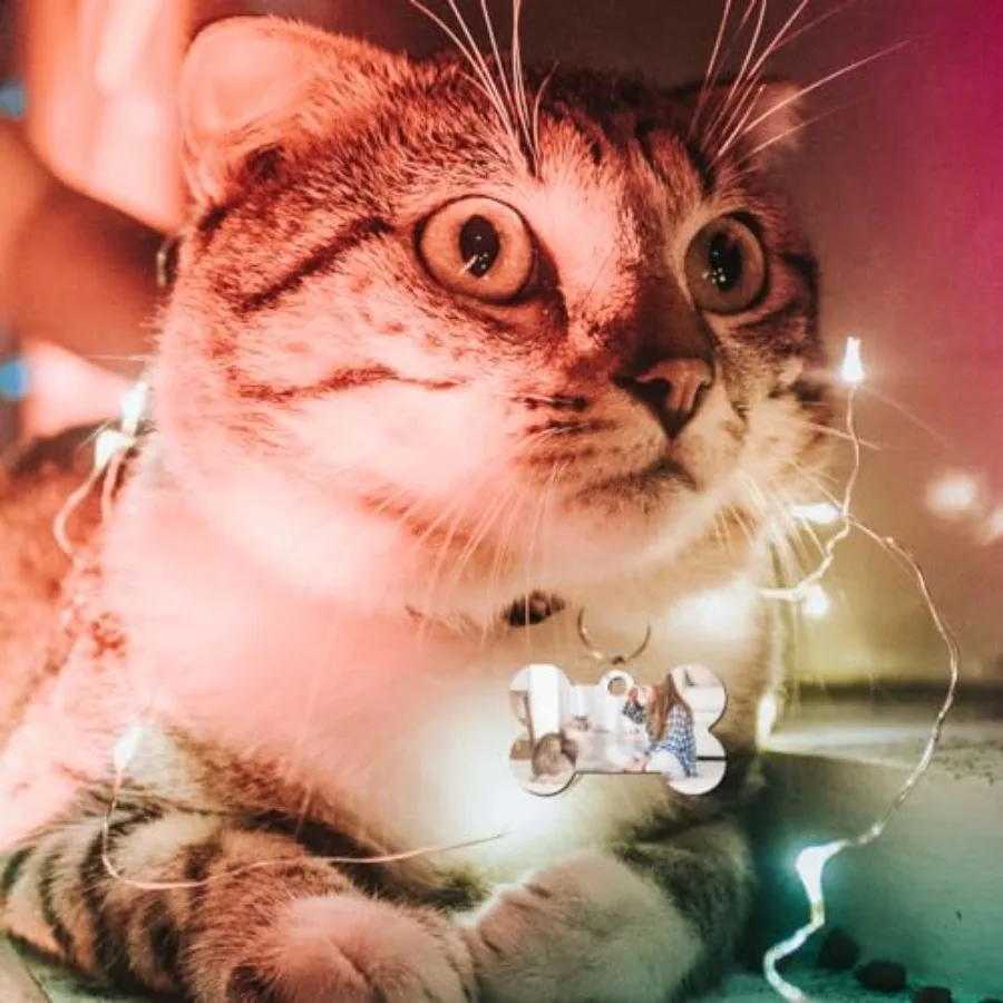 30 قطعة علامة الكلب الألومنيوم التسامي مع 20 قطعة حلقة مزدوجة الوجهين نقل العلامات DIY بها بنفسك الكلاب الحيوانات الأليفة معرف لي العلامة #6