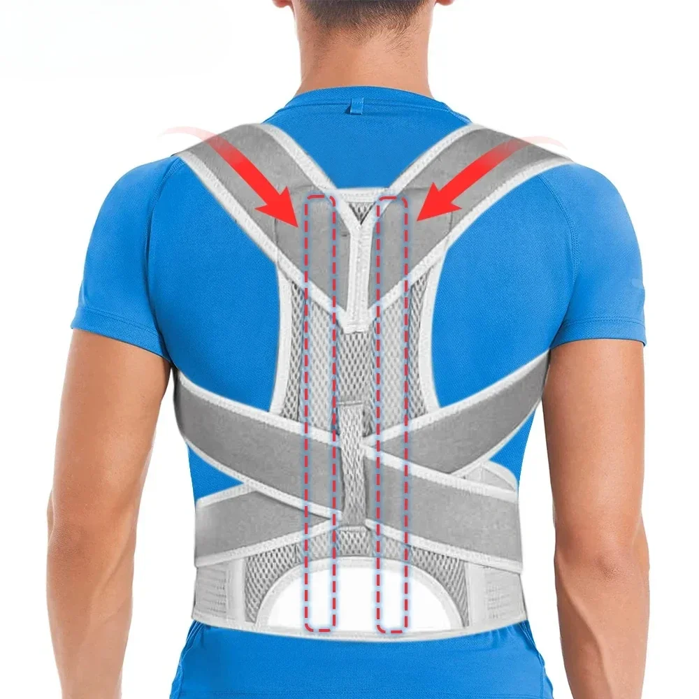 

1Pcs Posture Corrector Scoliosis Back Brace Spine Corset Shoulder Therapy Support Posture Correction Belt Orthopedic Back