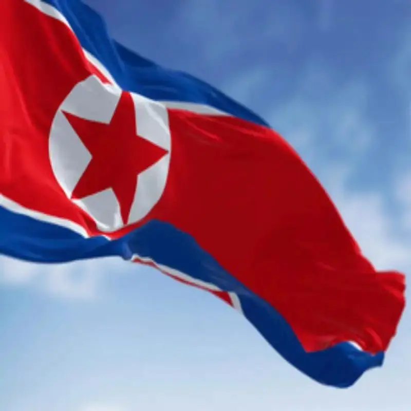 North Korea Country Flag 90X150cm high quality polyester hanging PRK KP NK north korea flag home decoration