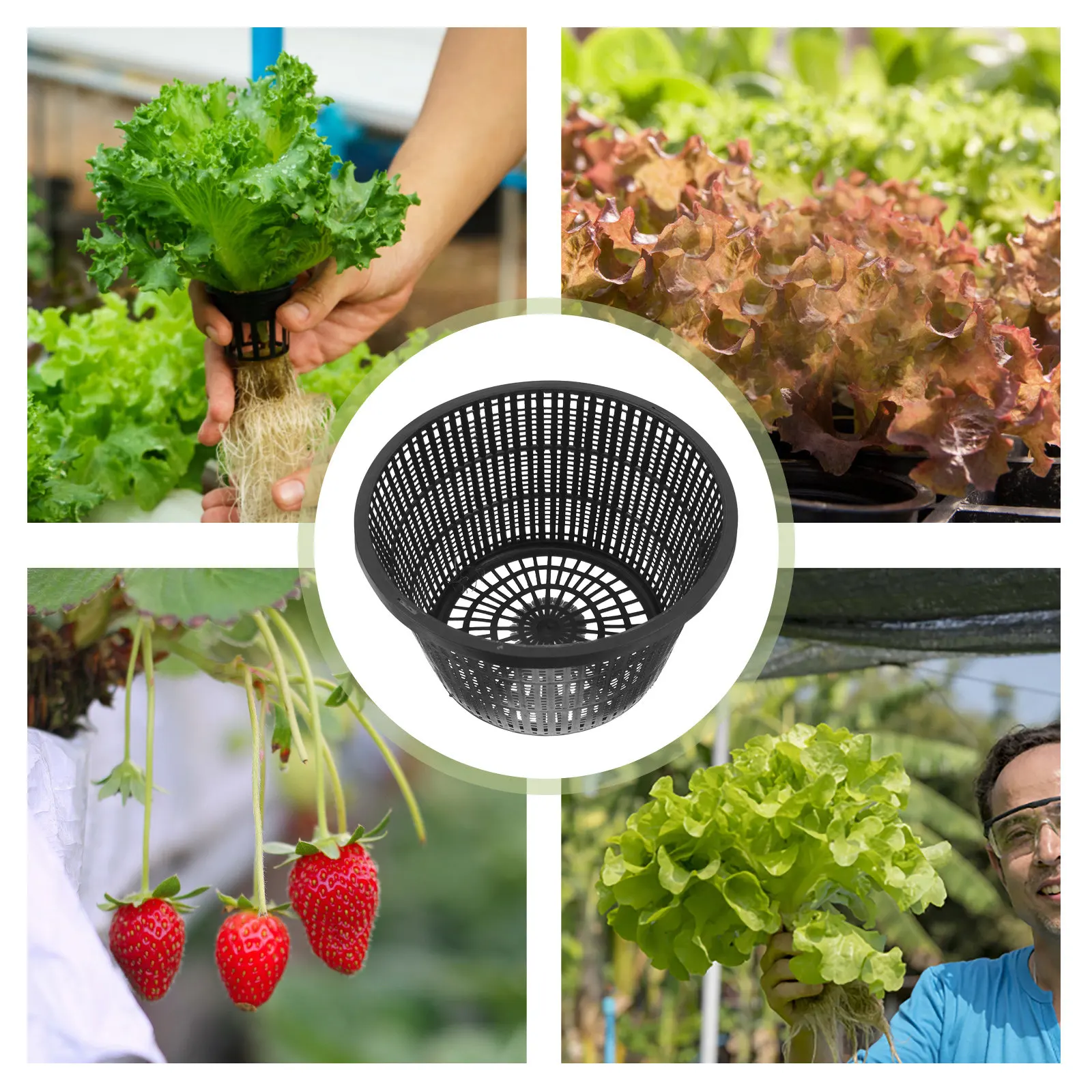 4pcs Hydroponic Net Pots 5 Inc - Hydroponic System ulasan dan harga
