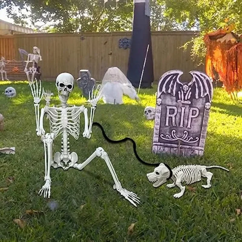 5.4Ft Posable Life Size Human Skeletons,Adult Skeletons with Dog Skeleton,Plastic Human Bones with Movable Joints for