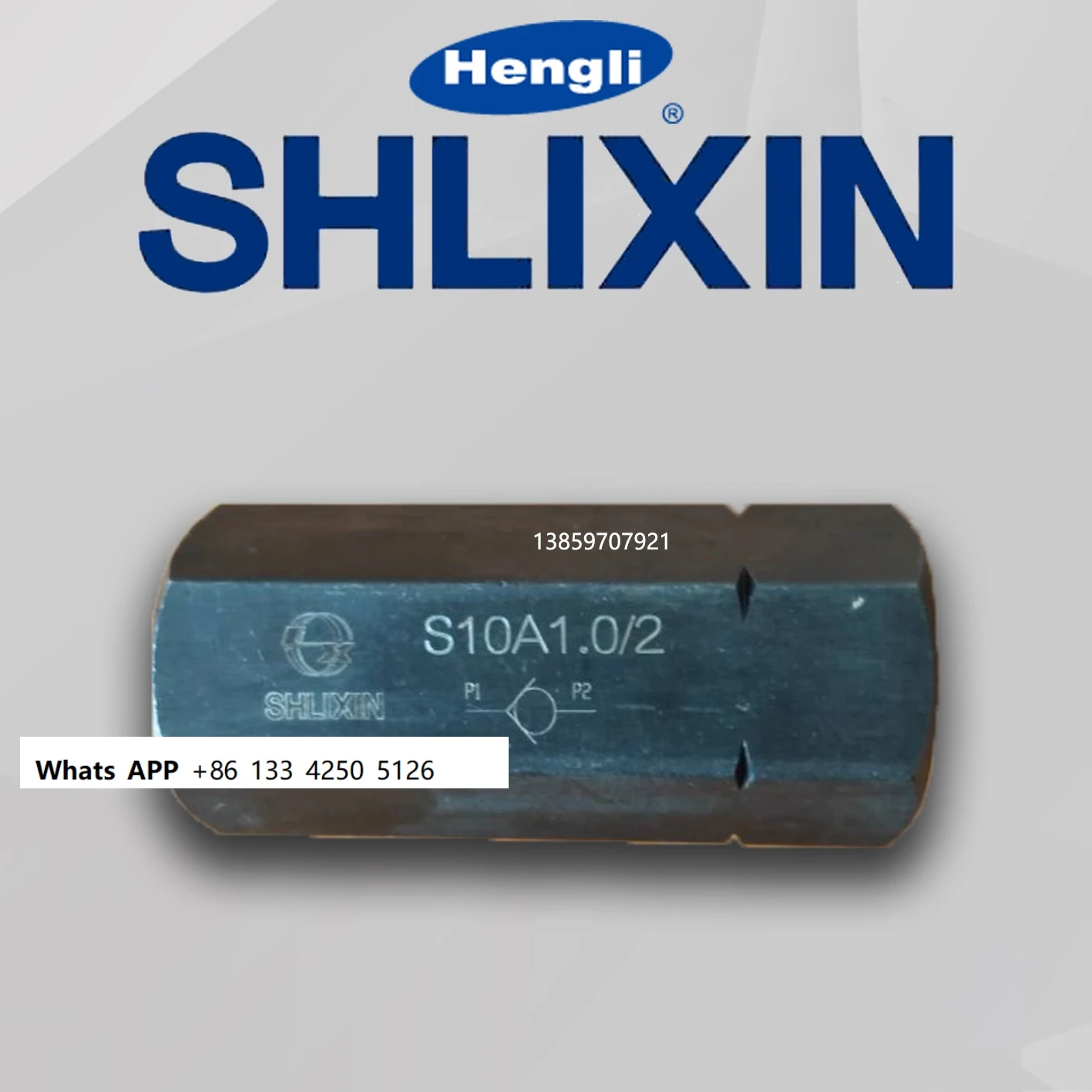 

Shanghai Lixin Hengli Pipe type Check Valve S6A S8A1.0 S10A2.0 2 S15A S20A S25A3.0