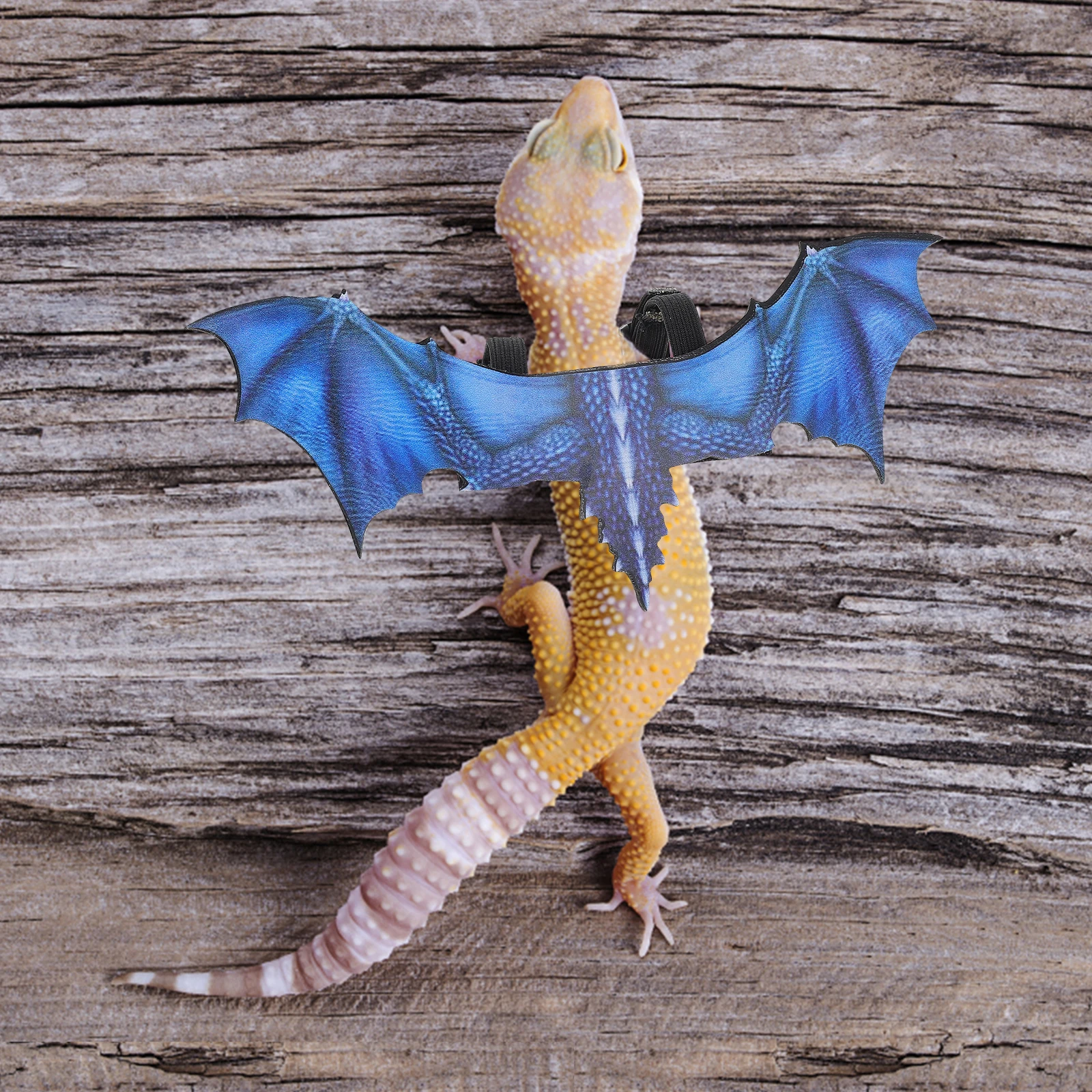 

Wear-Resistant Reptile Harness Chest Strap Wing-Shaped Outdoor Traction Harness Adjustable for Lizards Reptile Chest Strap