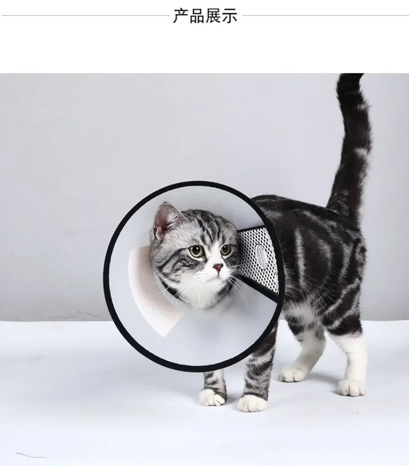 Pet Anti-bite Collar Cat Wound Healing Cone Neck Protection Cover Elizabethan Circle for Kitten Puppy Dog Post-operative Care