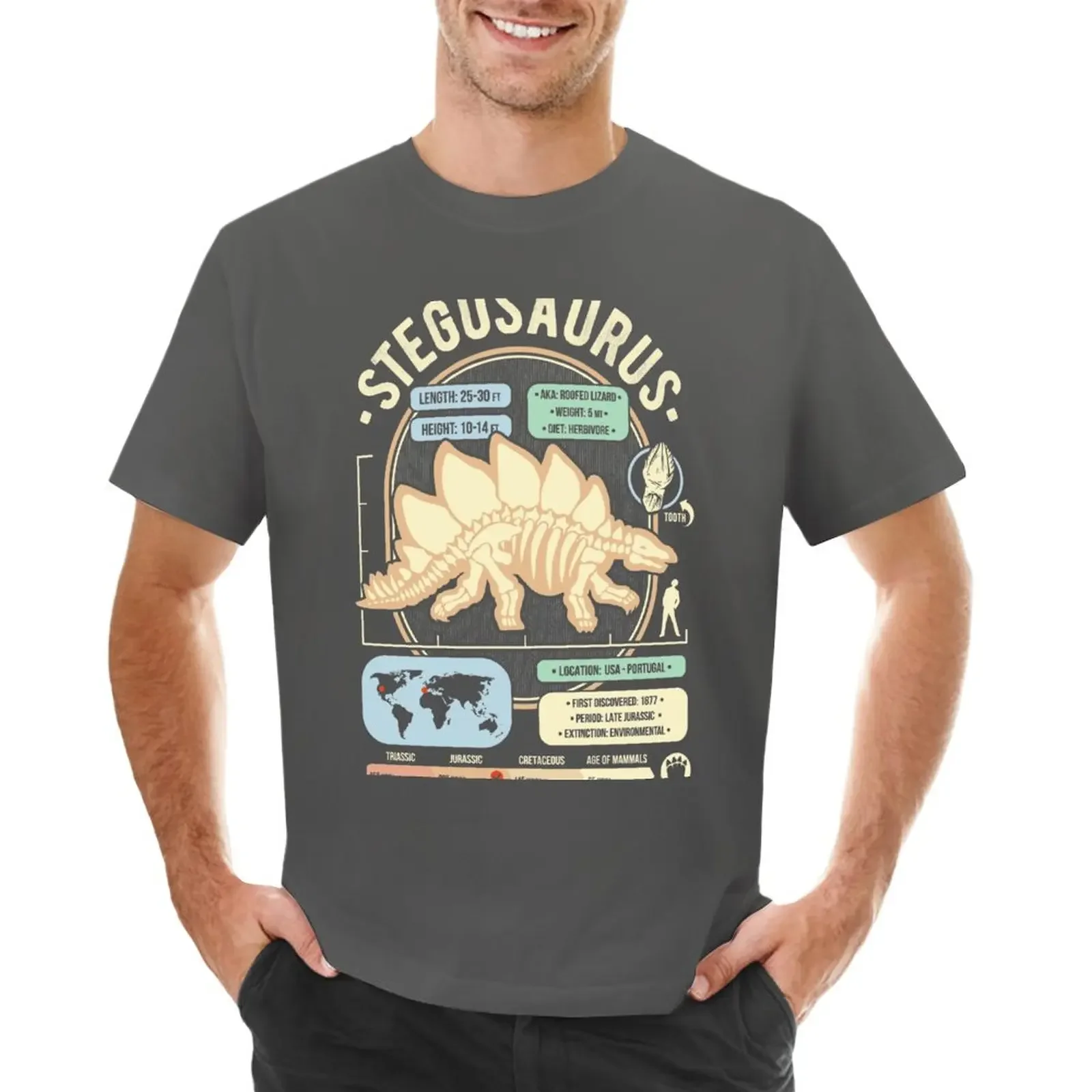 Dinosaur Facts - Stegosaurus Science & Anatomy Gift T-Shirt vintage anime new edition mens champion t shirts