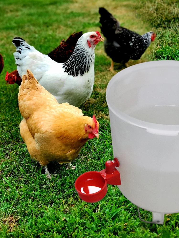 50Pcs Automatische Geflügel Trinken Schüssel Huhn Waterer Tassen Ente Trinken Maschine Hängen Trinkschalen Wasser Dispenser Zubehör – Detail 7