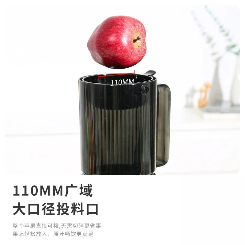 Household juicer fully automatic