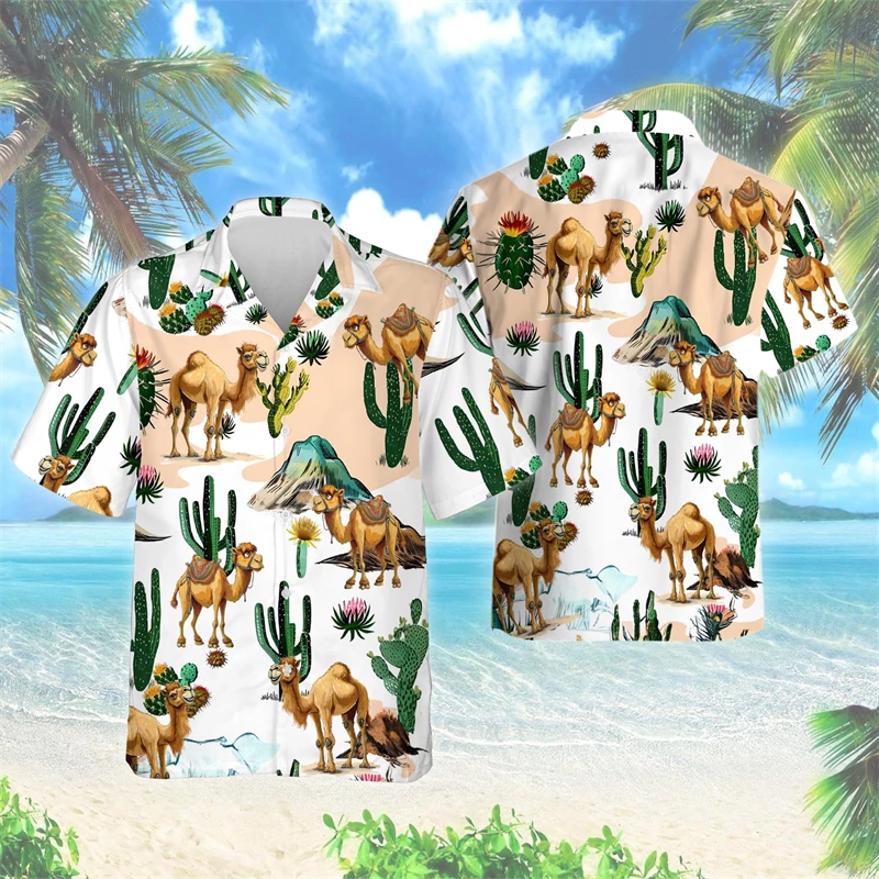 Shirts-PZMT40485