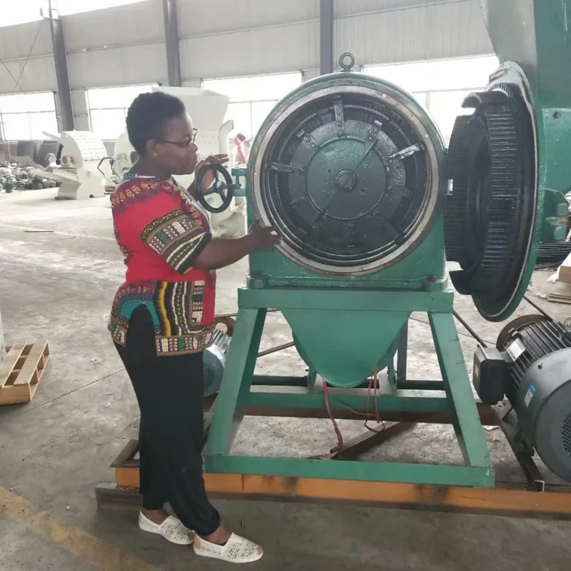 Hot Machine Sale In Malawi Domestic Maize Milling Machines For Farm