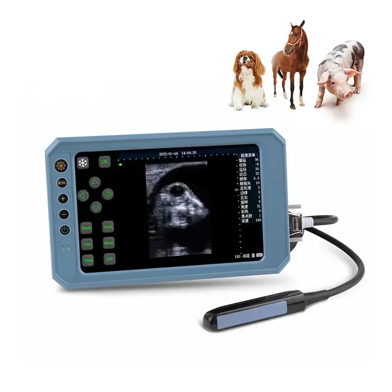 Handheld Veterinary B/W Ultrasound Scanner Vet Palm Ultrasound Scanner Veterinary B Mode Ultrasound Machine for Bovine Equine