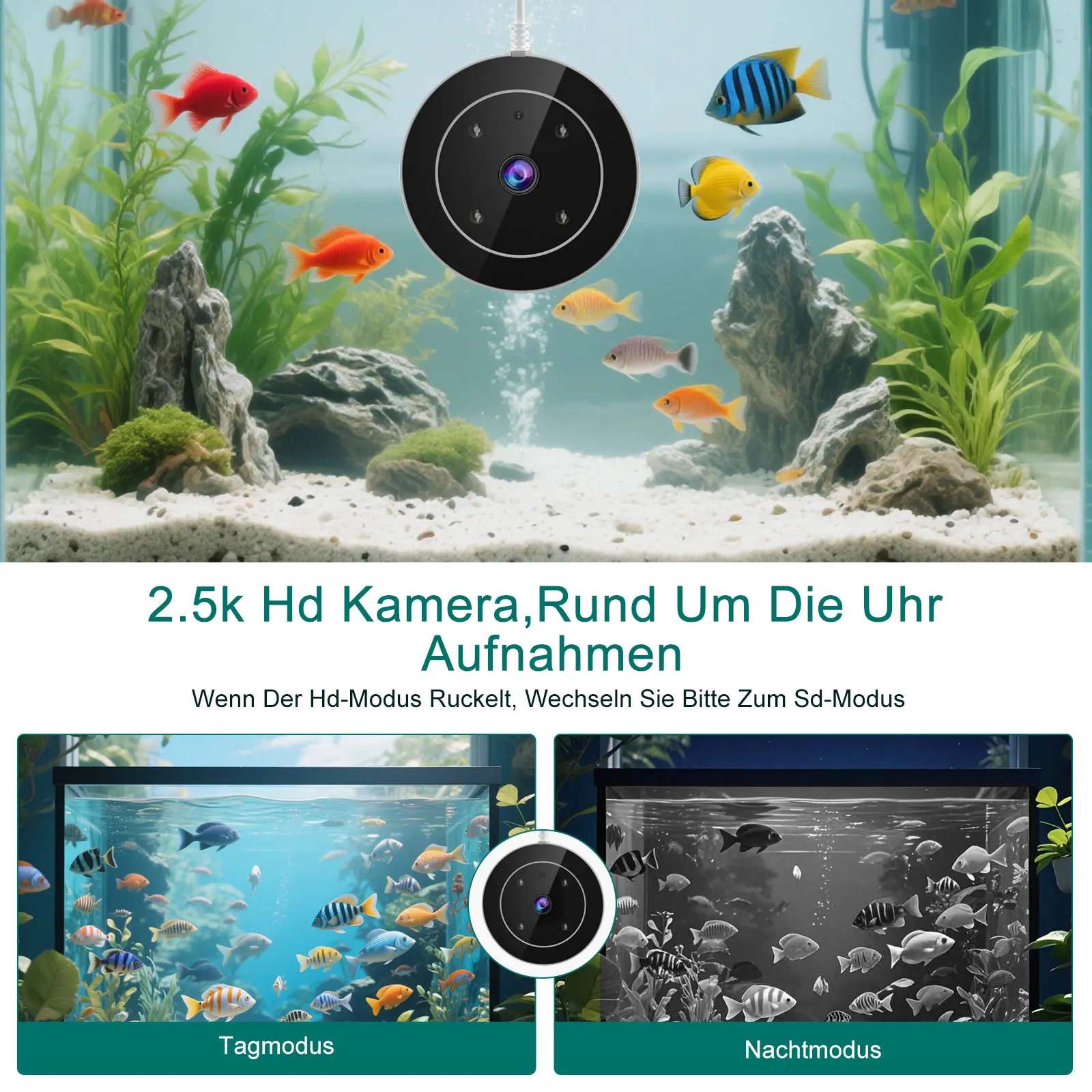 وحدة تغذية الأسماك الأوتوماتيكية الذكية مع كاميرا 2.5K، والتحكم في التطبيقات، وحدة تغذية العطلات، ونظام تغذية دقيق، وشاشة مرئية لحوض السمك