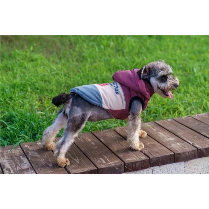 Four-Legged Fleece Hoodie for Dogs, Clothes for Teddy, Schnauzer, Pomeranian, Autumn and Winter, New, 2023