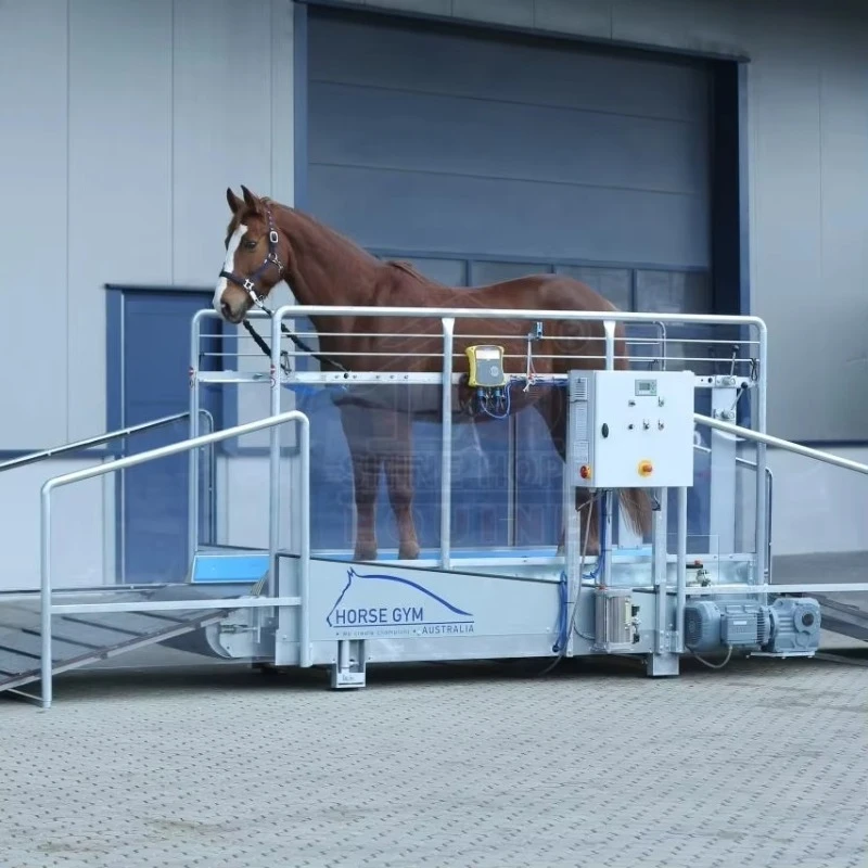 2026 High Speed Horse Strength Training and Racing Competitions Equine Treadmill for Horse Supplies