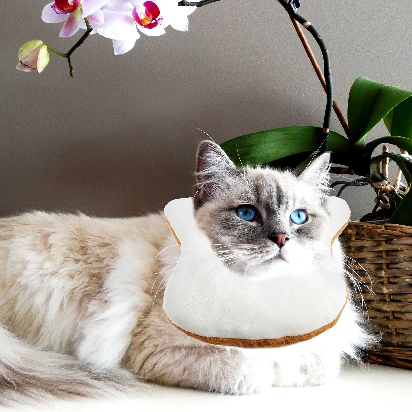 

Bread Shape Pet Headwear Cotton Xl Size Soft Comfortable Cat Headgear Funny Costume for Cosplay Party Pet Headgear