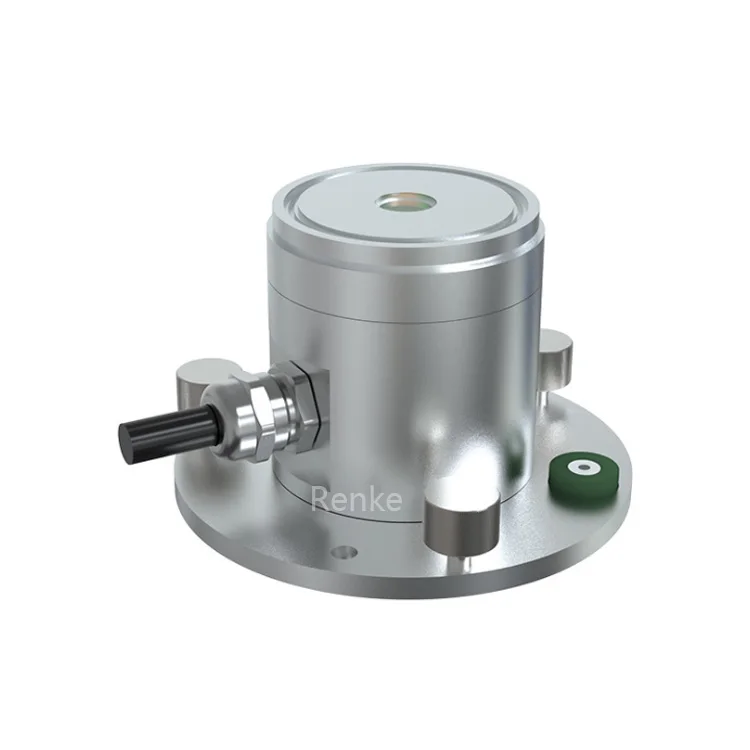 Renke CE Certified Optical Quantum Factory Directly Supply Par Light Sensor for Agriculture