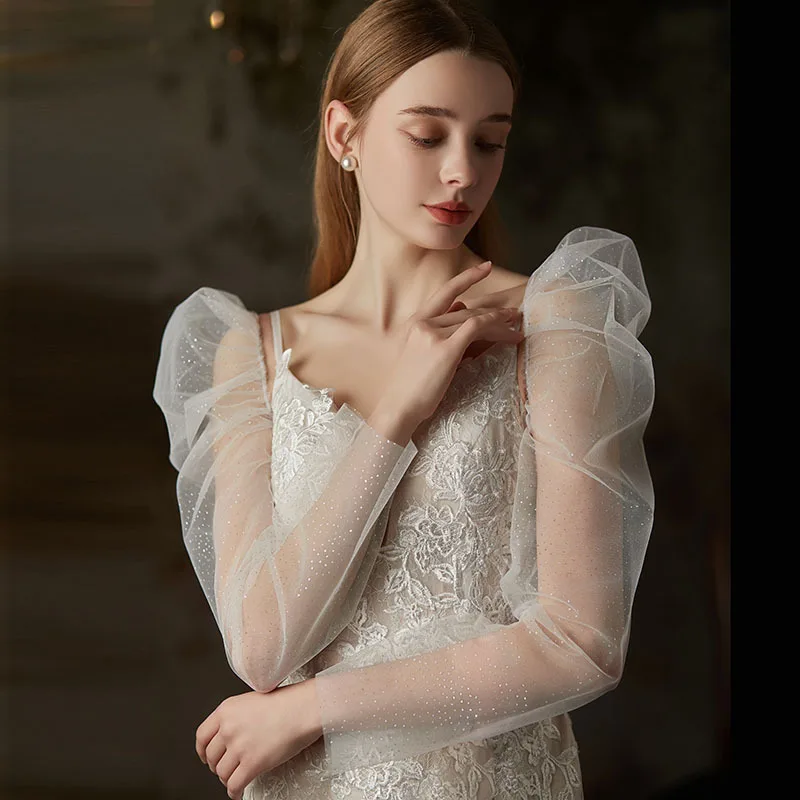 Aksesori gaun pengantin fotografi pengantin krem sifon transparan panjang perak cerah tabir surya yang mulia dan elegan