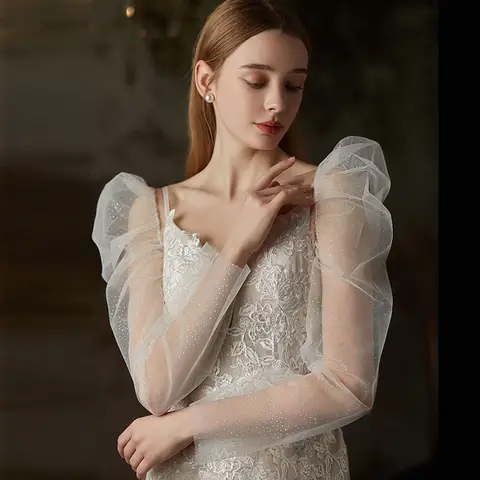 Bright Silver Long Transparent Chiffon Beige Bride and Women's Photography Wedding Dress Accessories Noble and Elegant Sunscreen