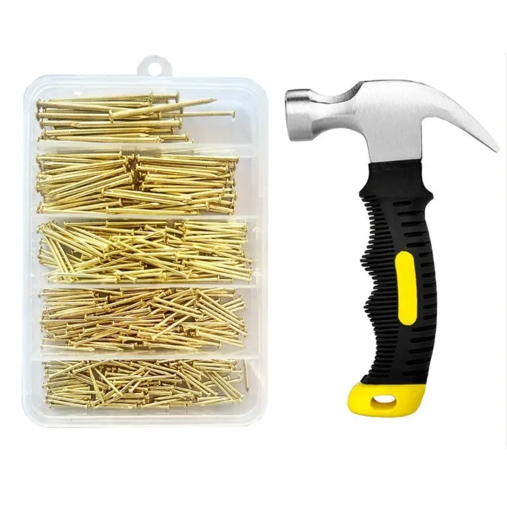 401Pcs Round Head Wall Nails and Hammer Set Iron 5 Sizes Small Nails Assortment Kit Fastener with Storage Box