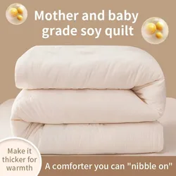 Raw Cotton Soybean Quilt Spring and Autumn Quilt Thickened Winter Quilt