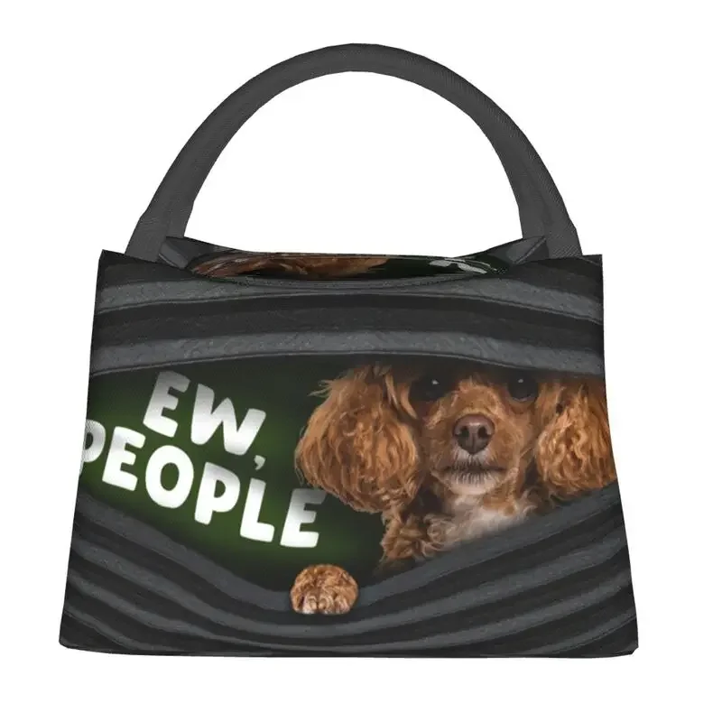 Funny Poodle Dog Thermal Insulated Lunch Bags Women Portable Lunch Tote for Outdoor Picnic Storage Meal Food Box